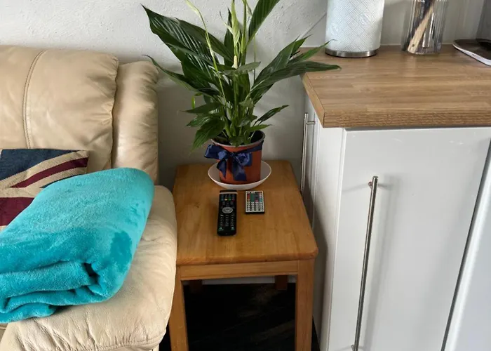 Cosy Beach Chalet